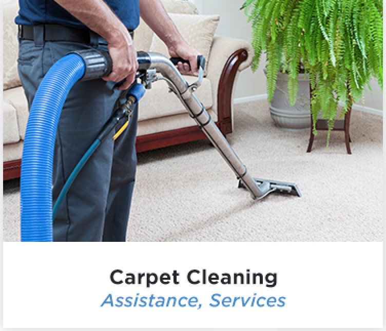 Carpet Cleaning Tacoma
